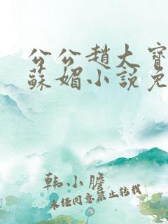 公公赵大宝儿媳苏媚小说免费阅读