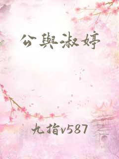 公与淑婷