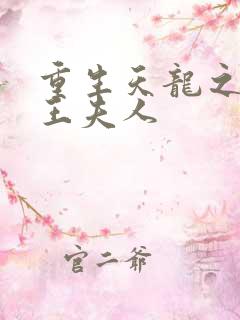 重生天龙之推倒王夫人
