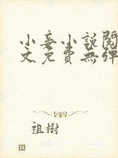 小妾小说阅读全文免费无弹窗