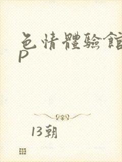色情体验馆HNP