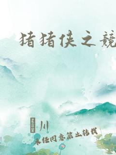 猪猪侠之竞速8