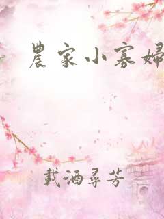 农家小寡妇
