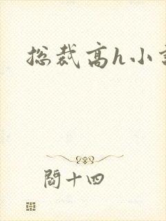 总裁高h小说