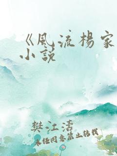 《风流杨家将》小说