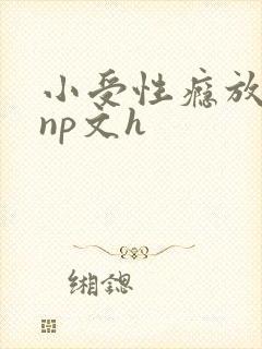 小受性瘾放荡的np文h
