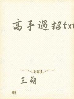 高手过招txt