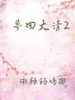 梦回大清2