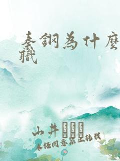 秦钢为什么被解职
