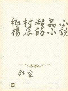 乡村超品小仙医杨辰的小说