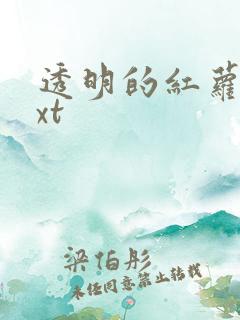 透明的红萝卜txt