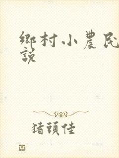 乡村小农民的小说