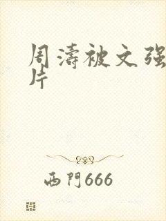 周涛被文强睡图片
