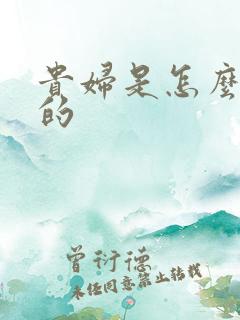 贵妇是怎么炼成的