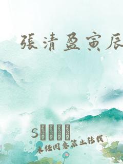 张清盈寅辰小说