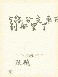5路公交车现在到哪里了