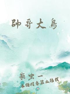 帅哥大鸟