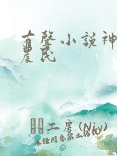 有声小说神医小农民