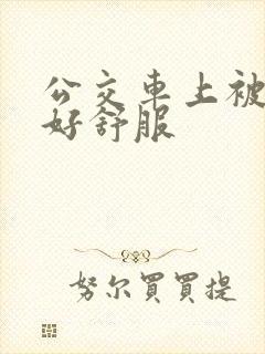 公交车上被摸的好舒服