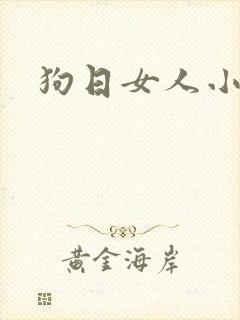狗日女人小说
