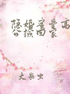 隐婚蜜爱高冷老公捡回家