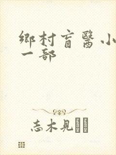 乡村盲医小说第一部