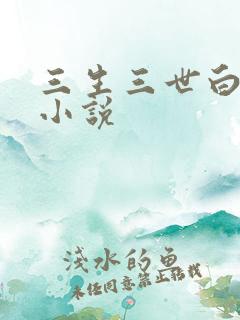三生三世白暮泪小说