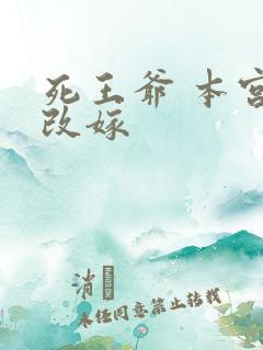 死王爷 本宫已改嫁