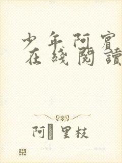 少 年 阿 宾 在 线 阅 读