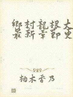 乡村龙根大凶器最新章节更新