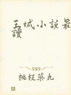 王城小说最近阅读
