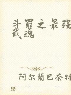 斗罗之最强治疗武魂