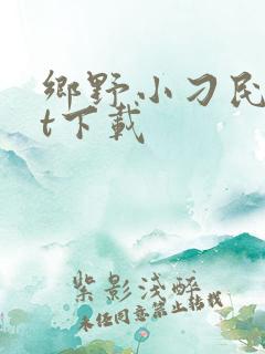 乡野小刁民txt下载