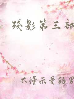 残影第三部