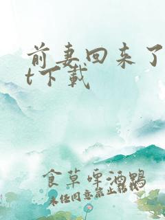 前妻回来了txt下载