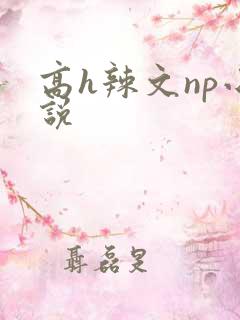 高h辣文np小说
