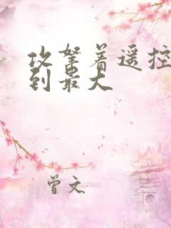 攻拿着遥控器开到最大
