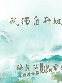 我独自升级小说