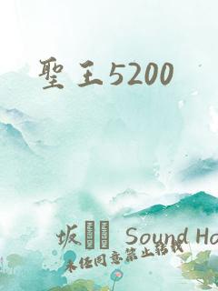 圣王5200