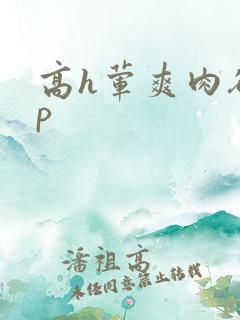 高h荤爽肉欲np
