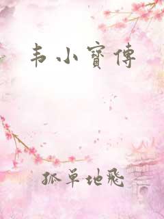韦小宝传