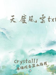 天庐风云txt