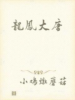 龙凤大唐