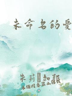 未命名的爱