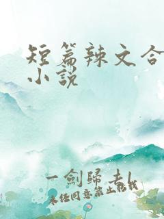 短篇辣文合集h小说