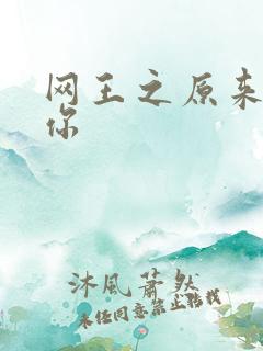 网王之原来我爱你