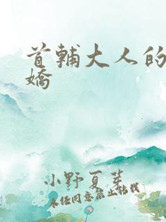 首辅大人的掌心娇