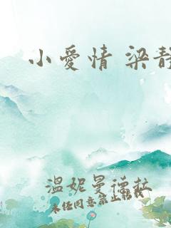 小爱情 梁静茹