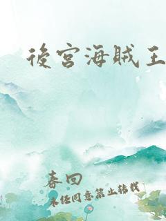 后宫海贼王下载