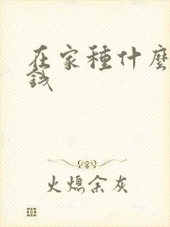 在家种什么能挣钱